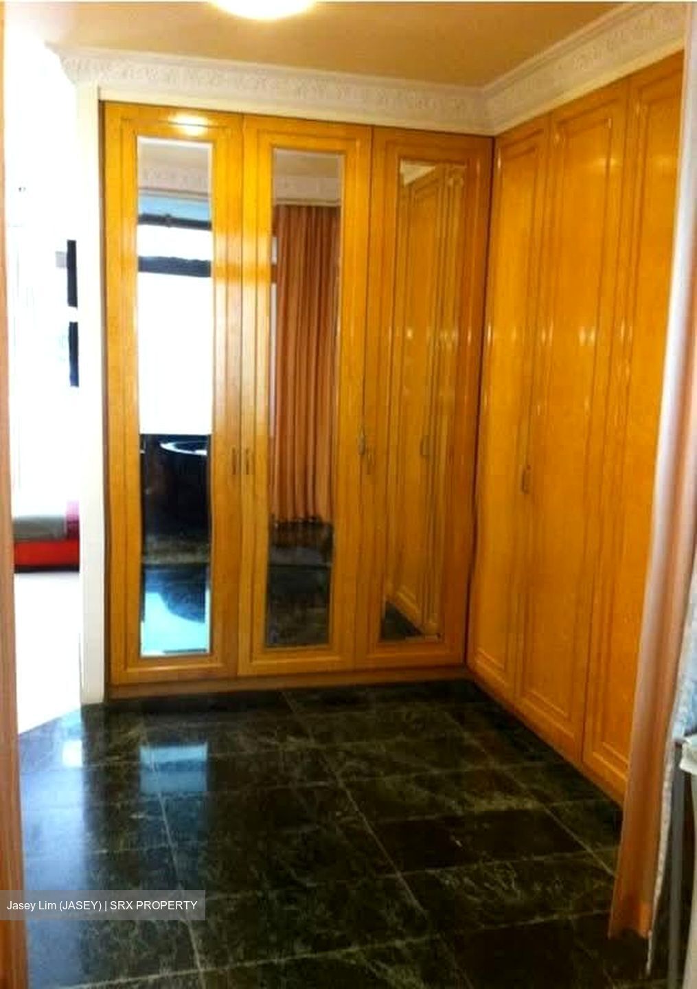 The Balmoral (D10), Condominium #573378361